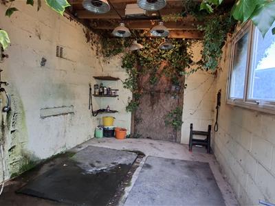 Picture 28